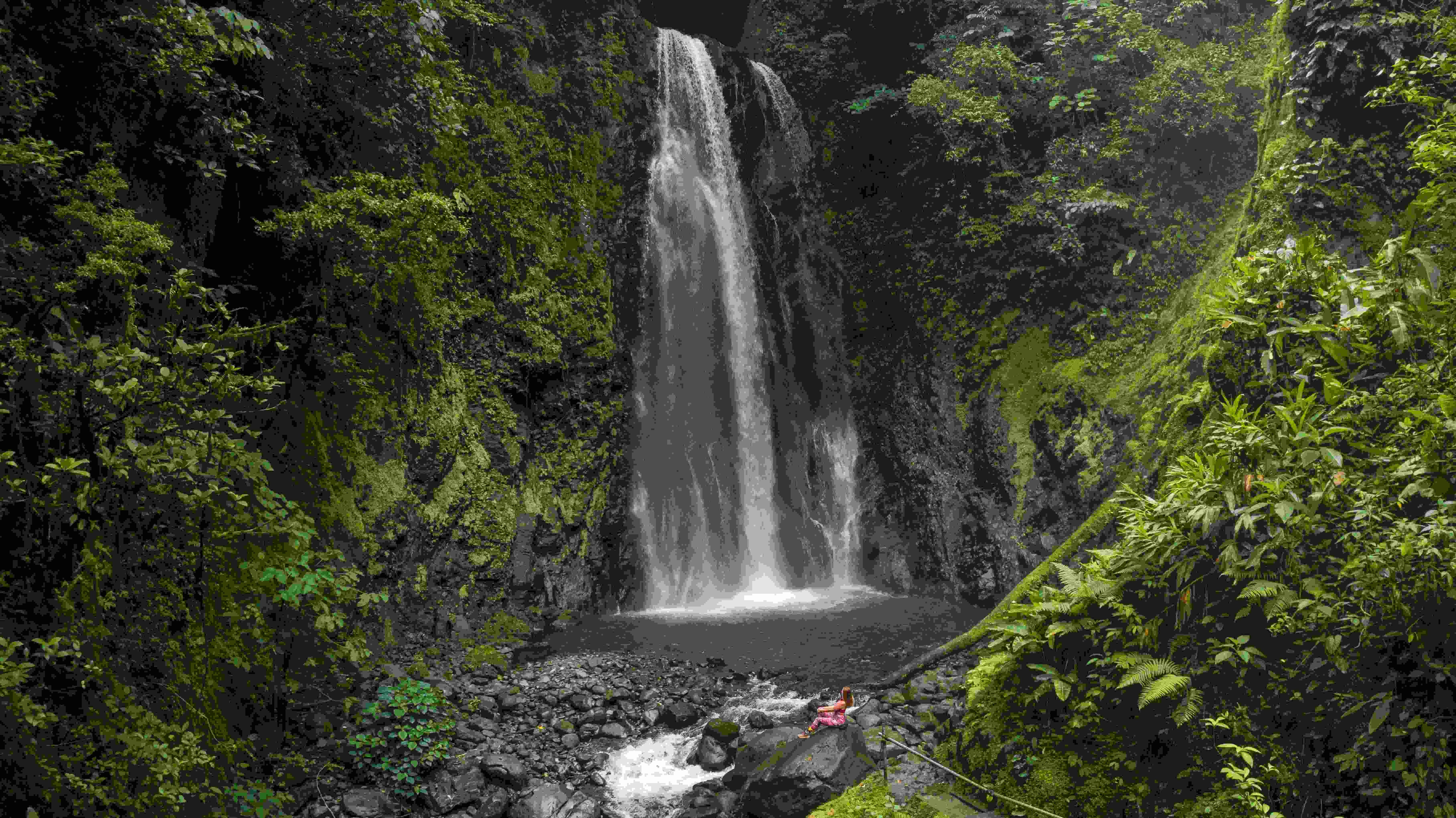 Majestic waterfall surrounded by lush vegetation and a river in Monteverde, Costa Rica.