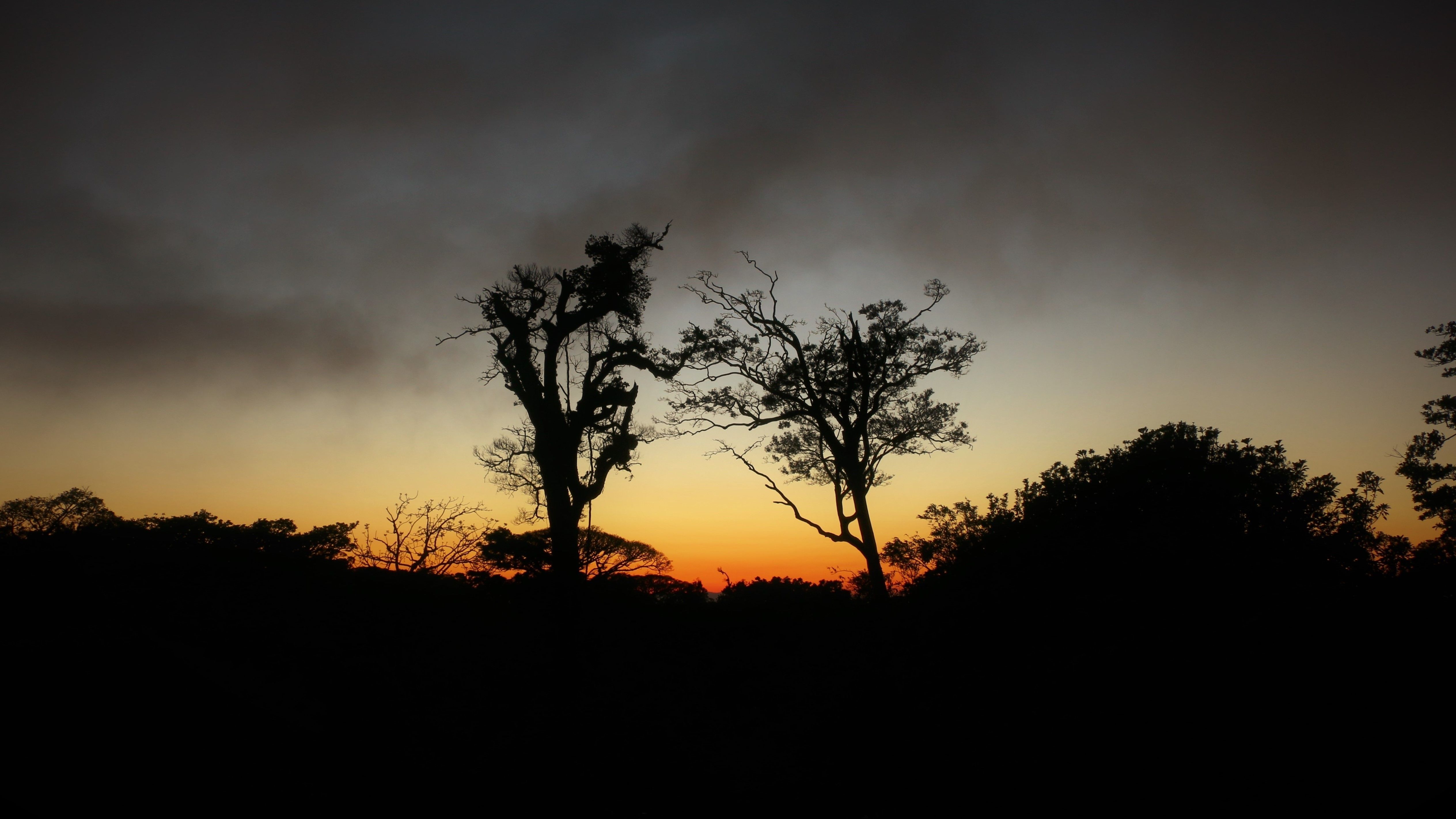 Silueta de árboles contra un vibrante cielo al atardecer en Monteverde, Costa Rica.