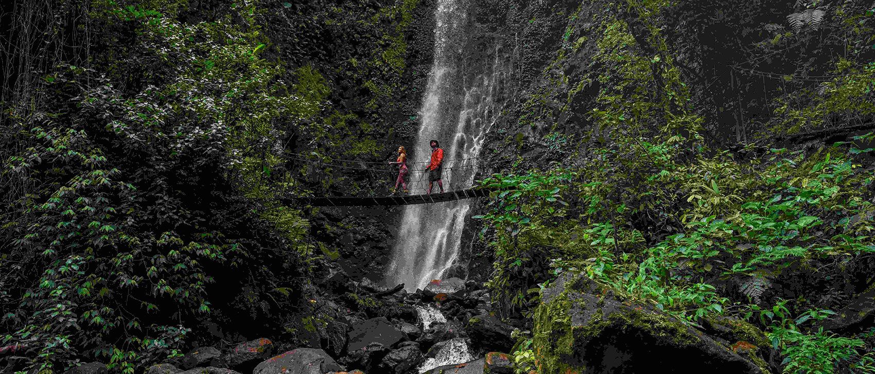 Two hikers crossing a hanging bridge in the tropical rainforest of El Tigre Waterfalls, Monteverde, Costa Rica.
