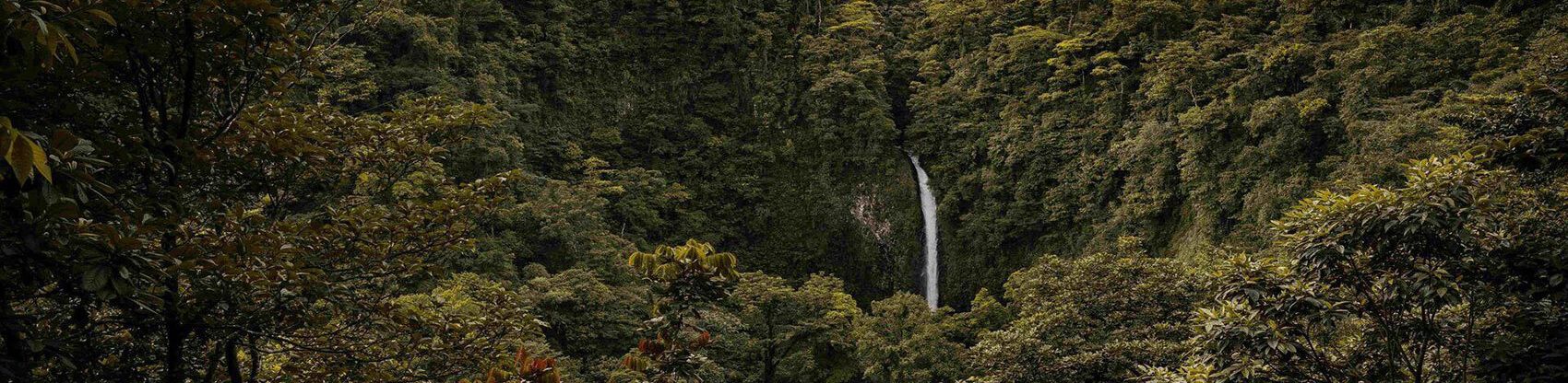 Waterfall surrounded by lush vegetation in Monteverde’s cloud forest at sunset.