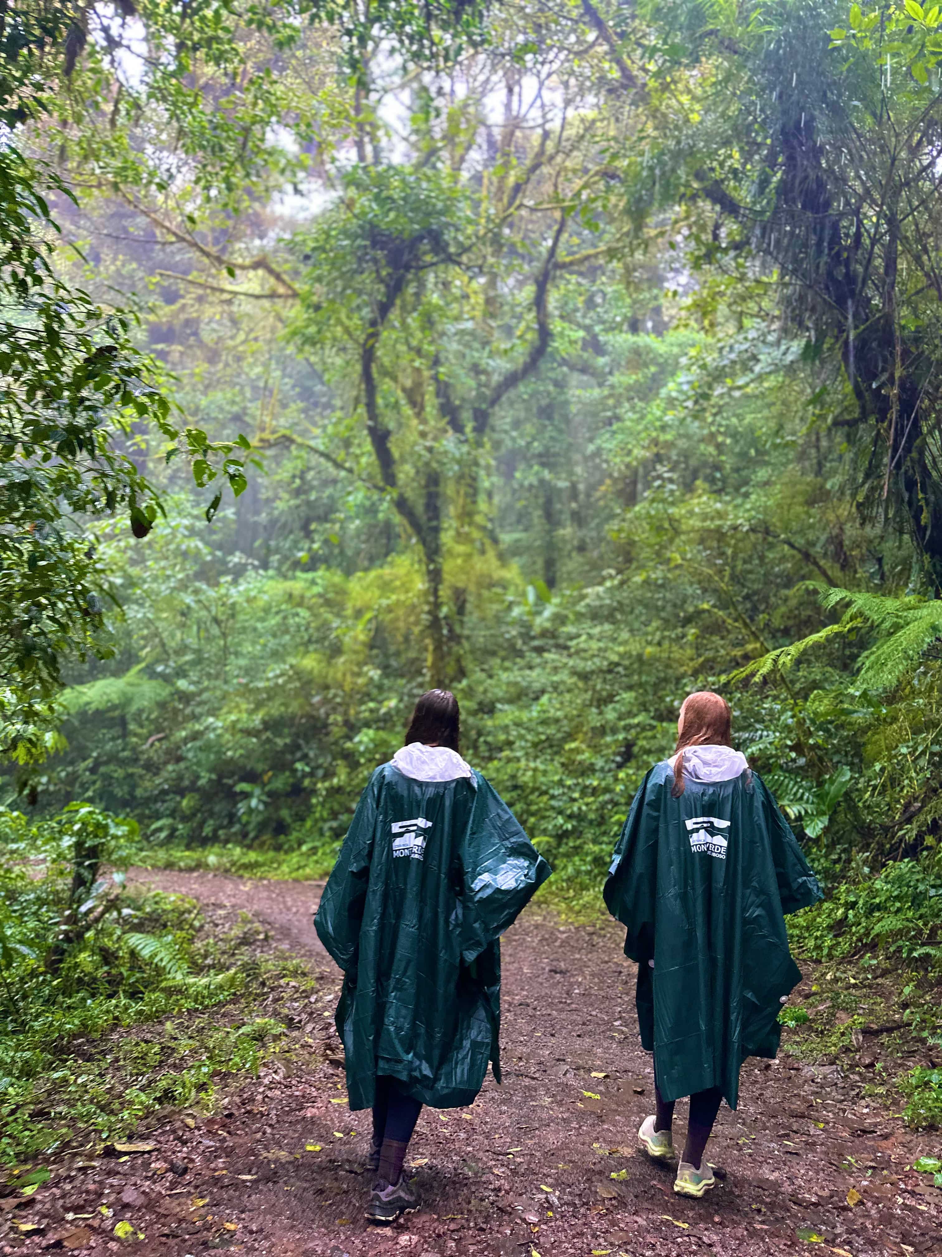 Two hikers in green ponchos walking through a misty cloud forest trail in Monteverde, Costa Rica