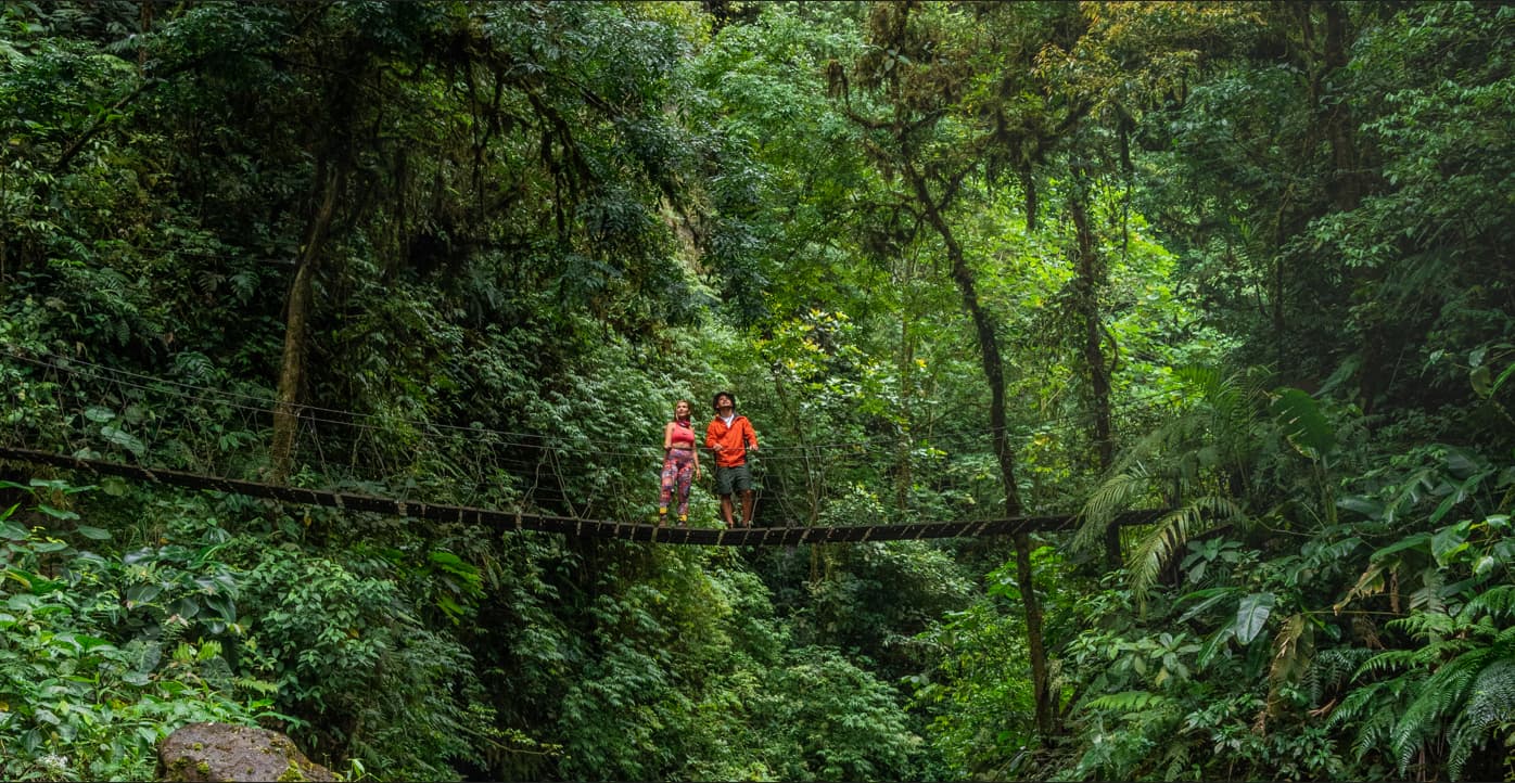Couple walking on a hanging bridge over a creek surrounded by lush rainforest in Monteverde, Costa Rica