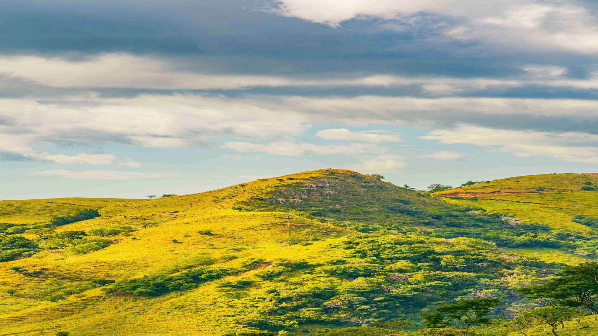 Sunlit green hills under a cloudy sky in Monteverde, Costa Rica