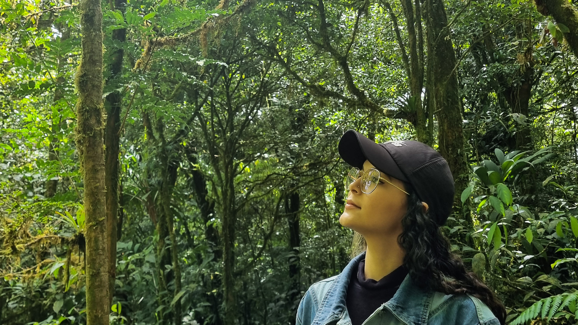 Natural History Walk on Selvatura Hanging Bridges