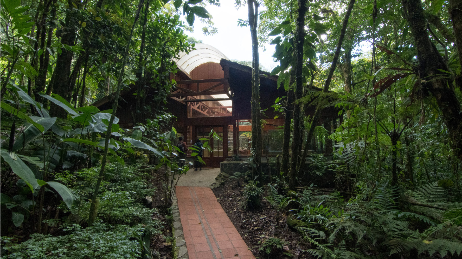 Selvatura Amphibian and Reptile Exhibit