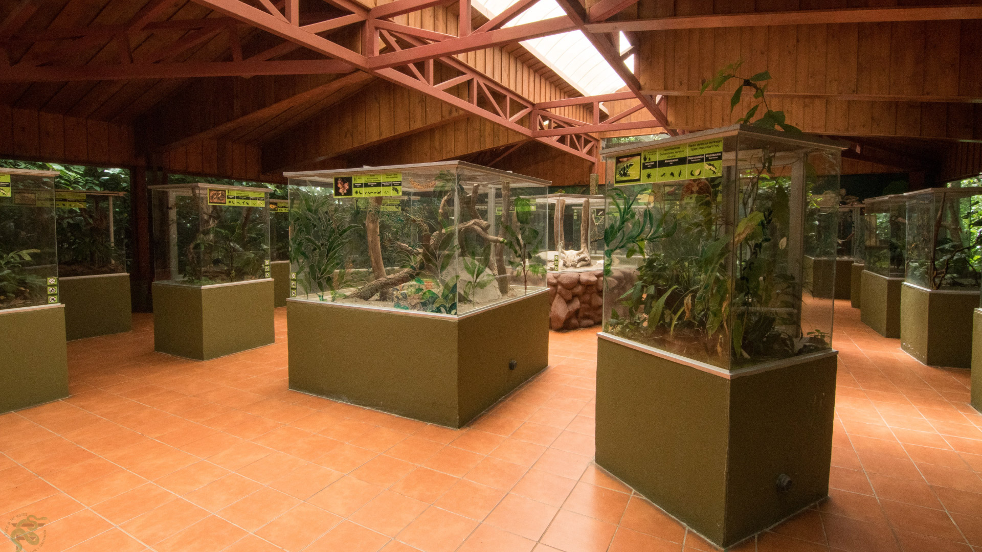 Exhibición de Reptiles y Anfibios  de Selvatura