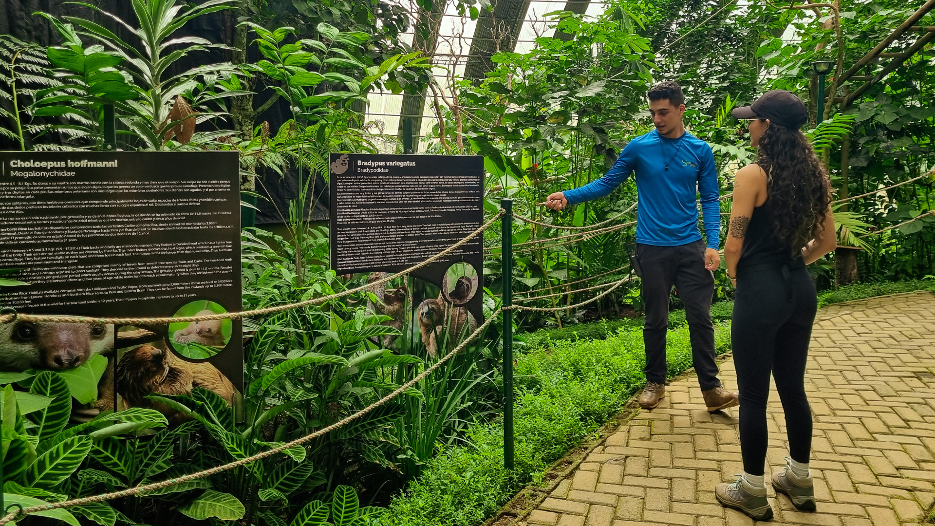 Selvatura Ecological Trilogy
