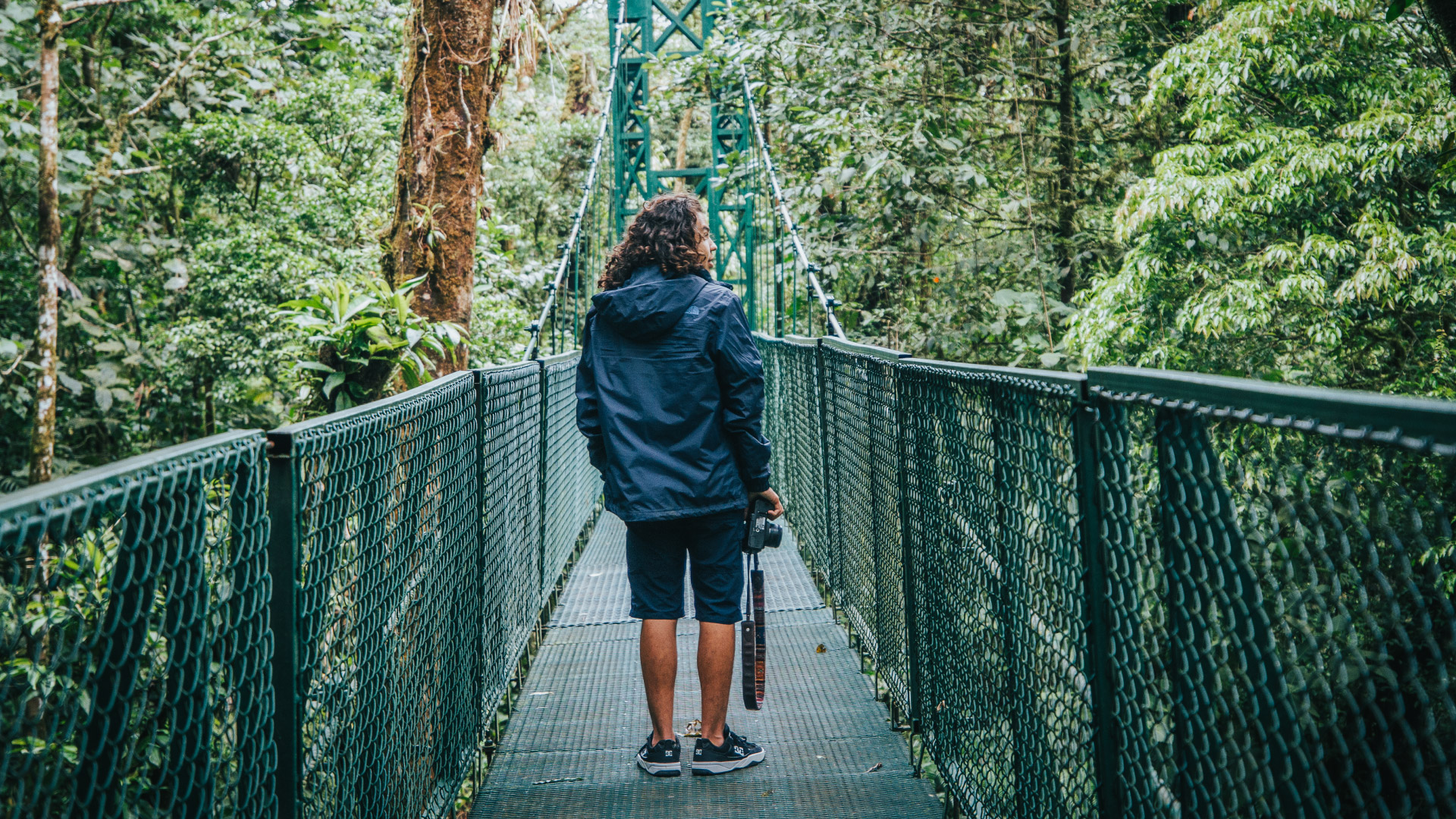 Natural History Walk on Selvatura Hanging Bridges