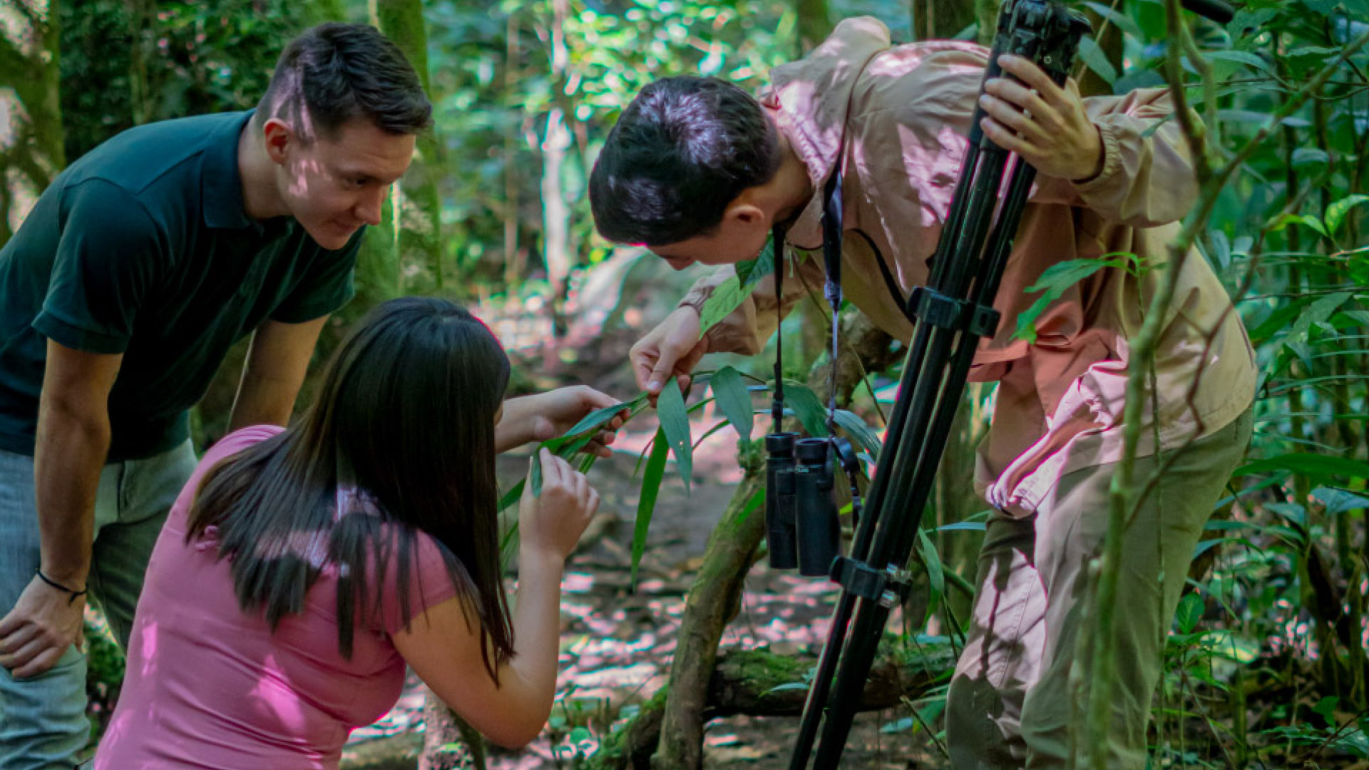Guide and two tourists examining a plant leaf closely on the Natural History Forest Walk tour at Finca Lantana, Monteverde, Costa Rica