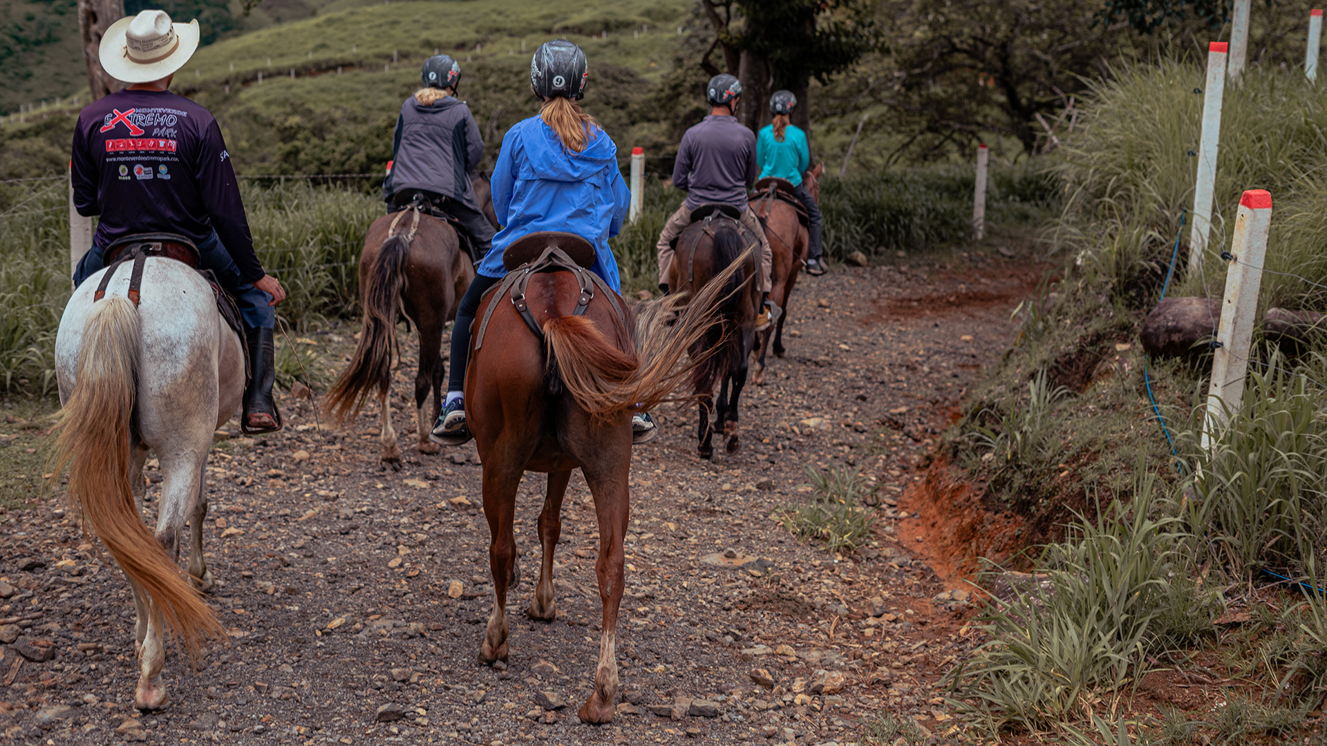 Panoramic Horseback Ride