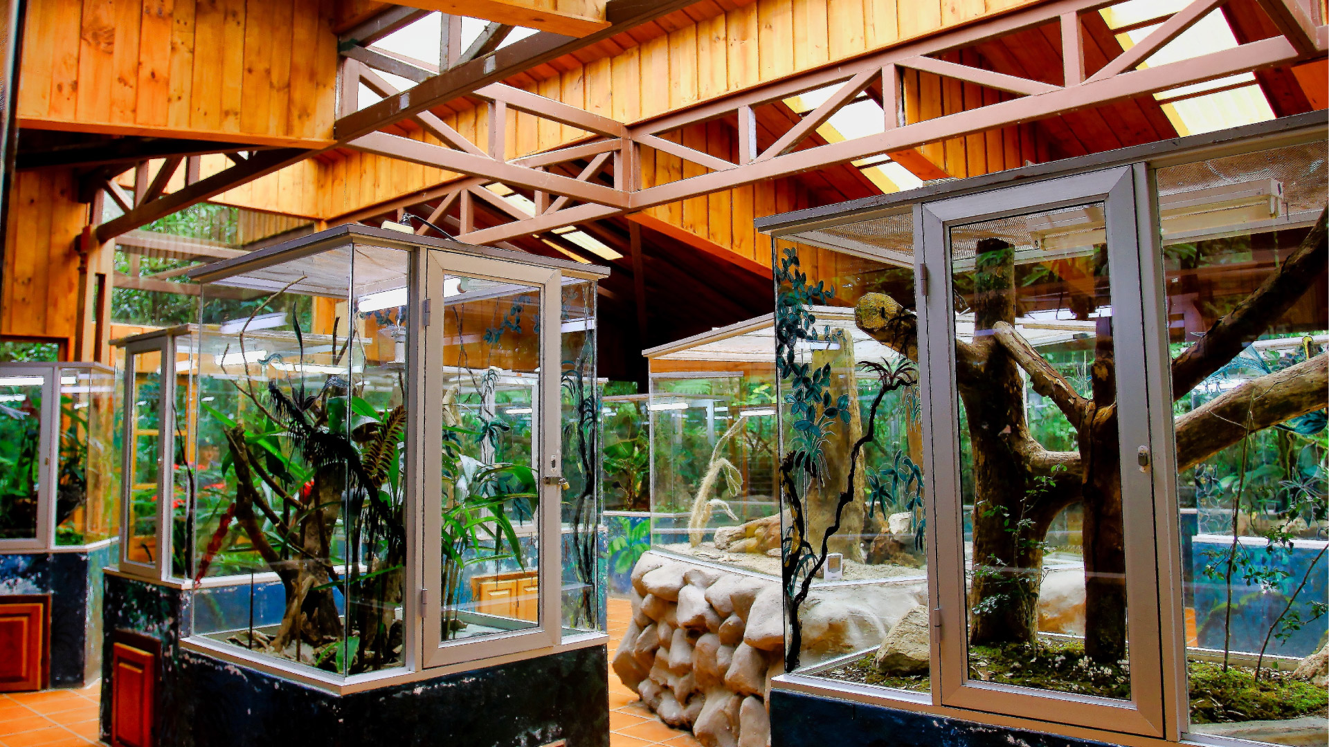 Selvatura Amphibian and Reptile Exhibit