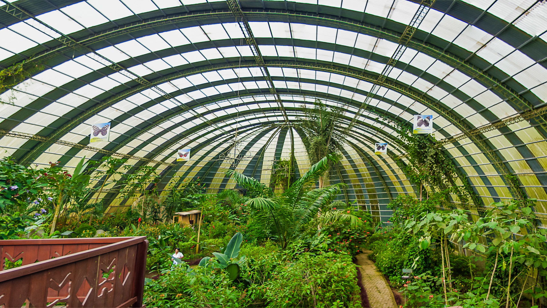 Selvatura Butterfly Garden