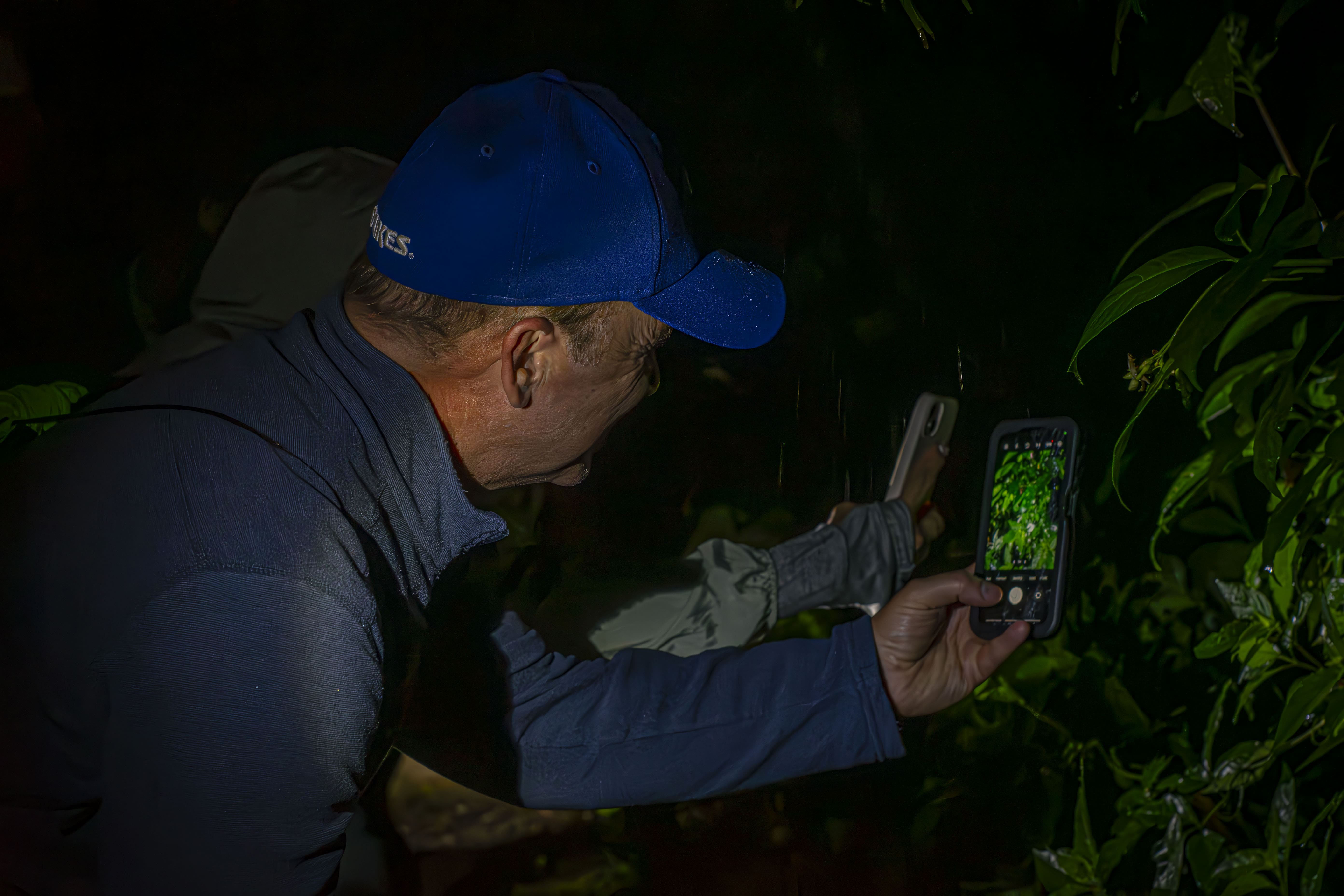Night Walk in Monteverde