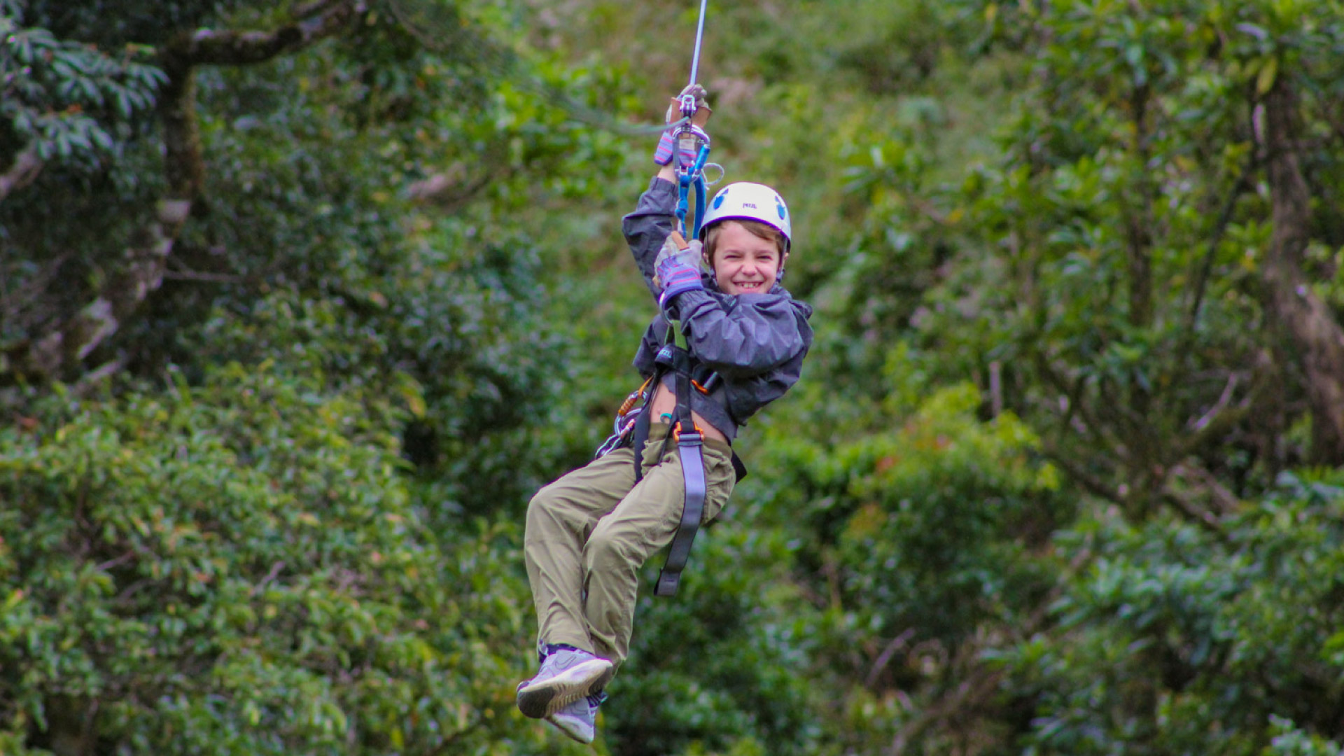 The Original Canopy Tour Monteverde