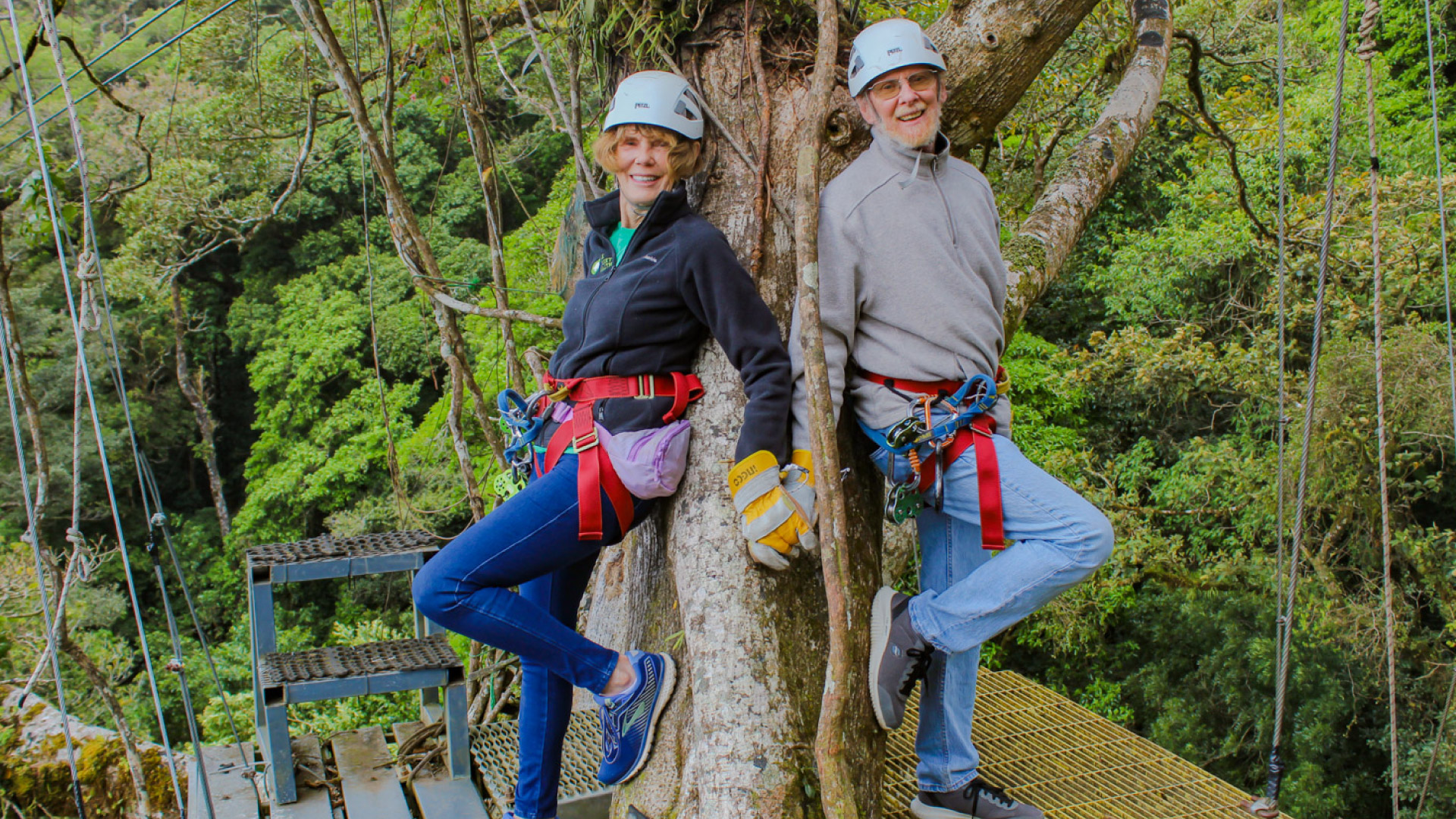 The Original Canopy Tour Monteverde