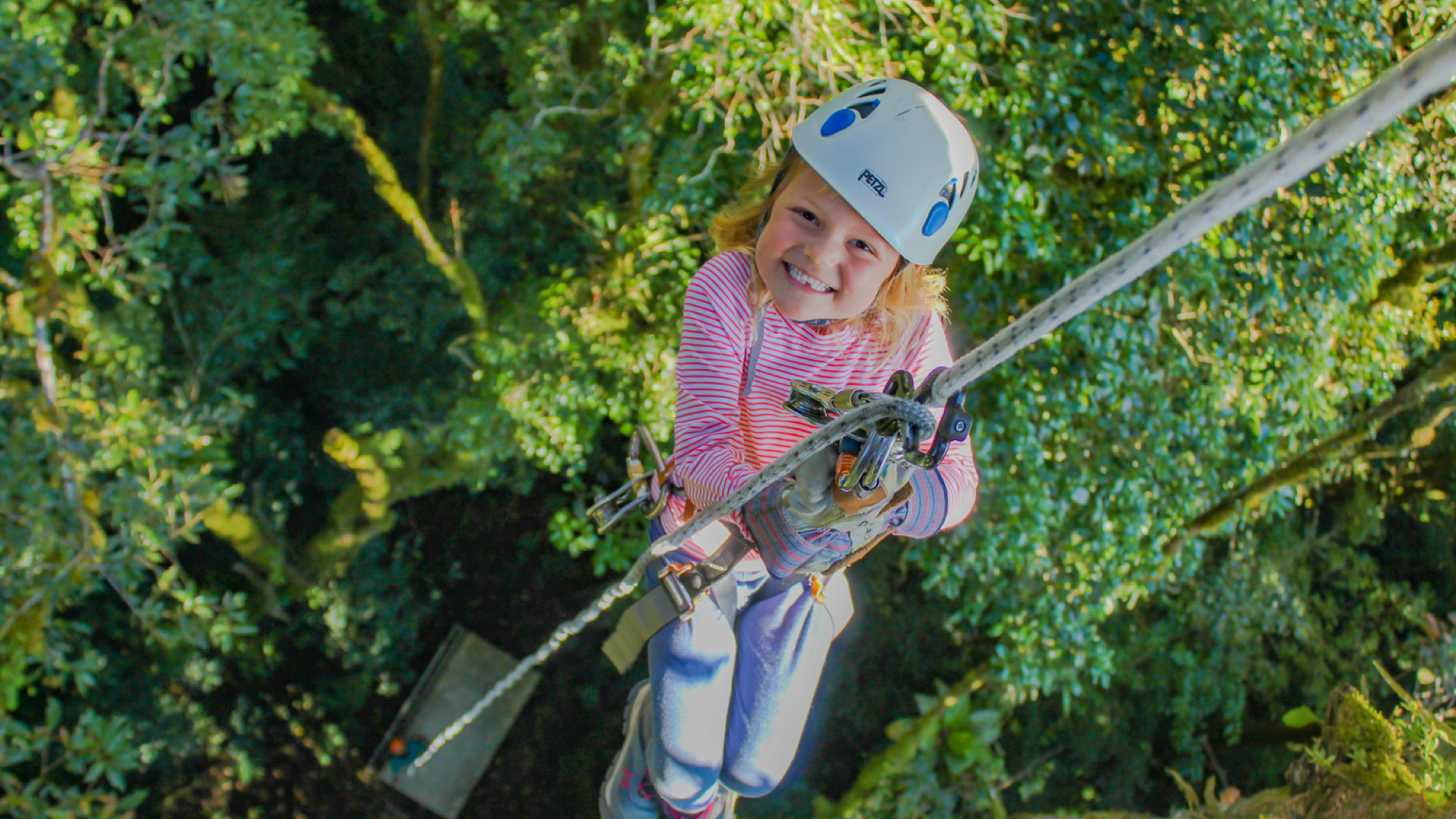 The Original Canopy Tour Monteverde