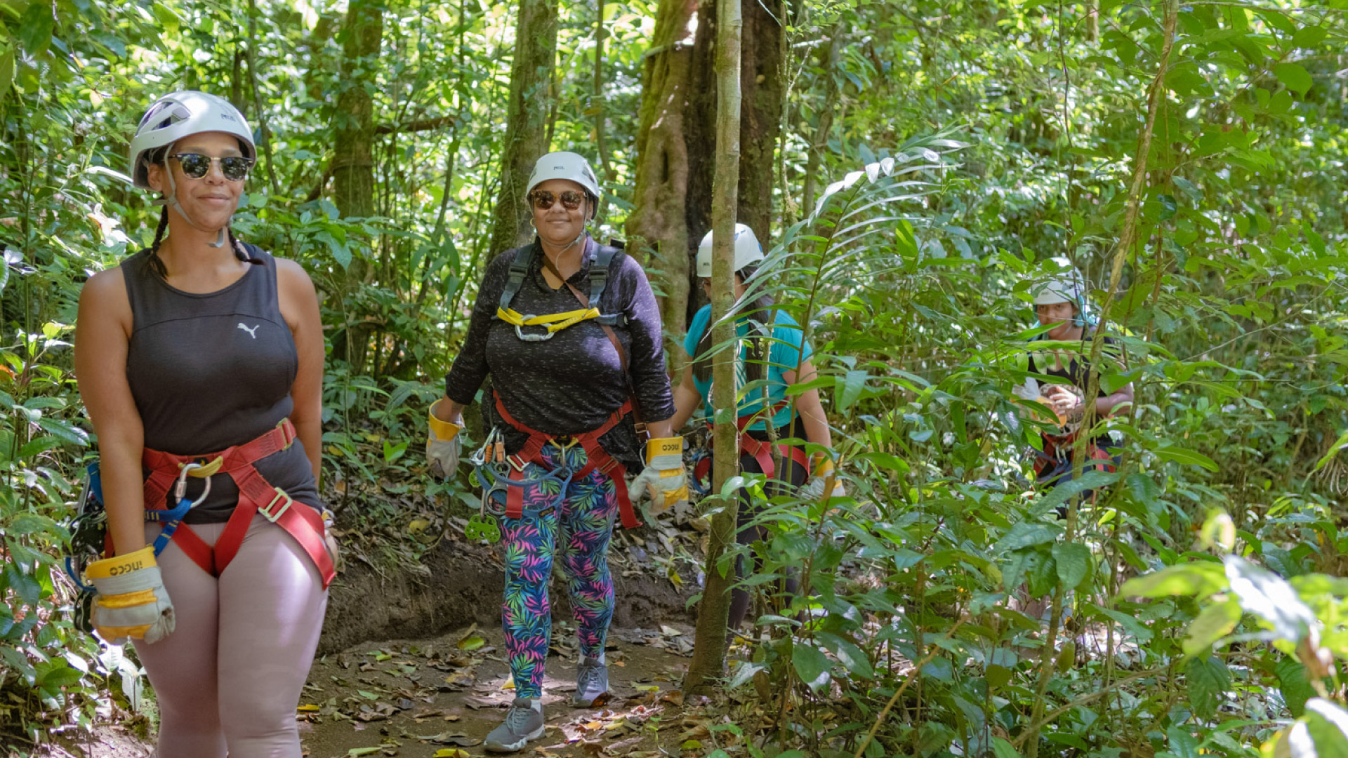 The Original Canopy Tour Monteverde