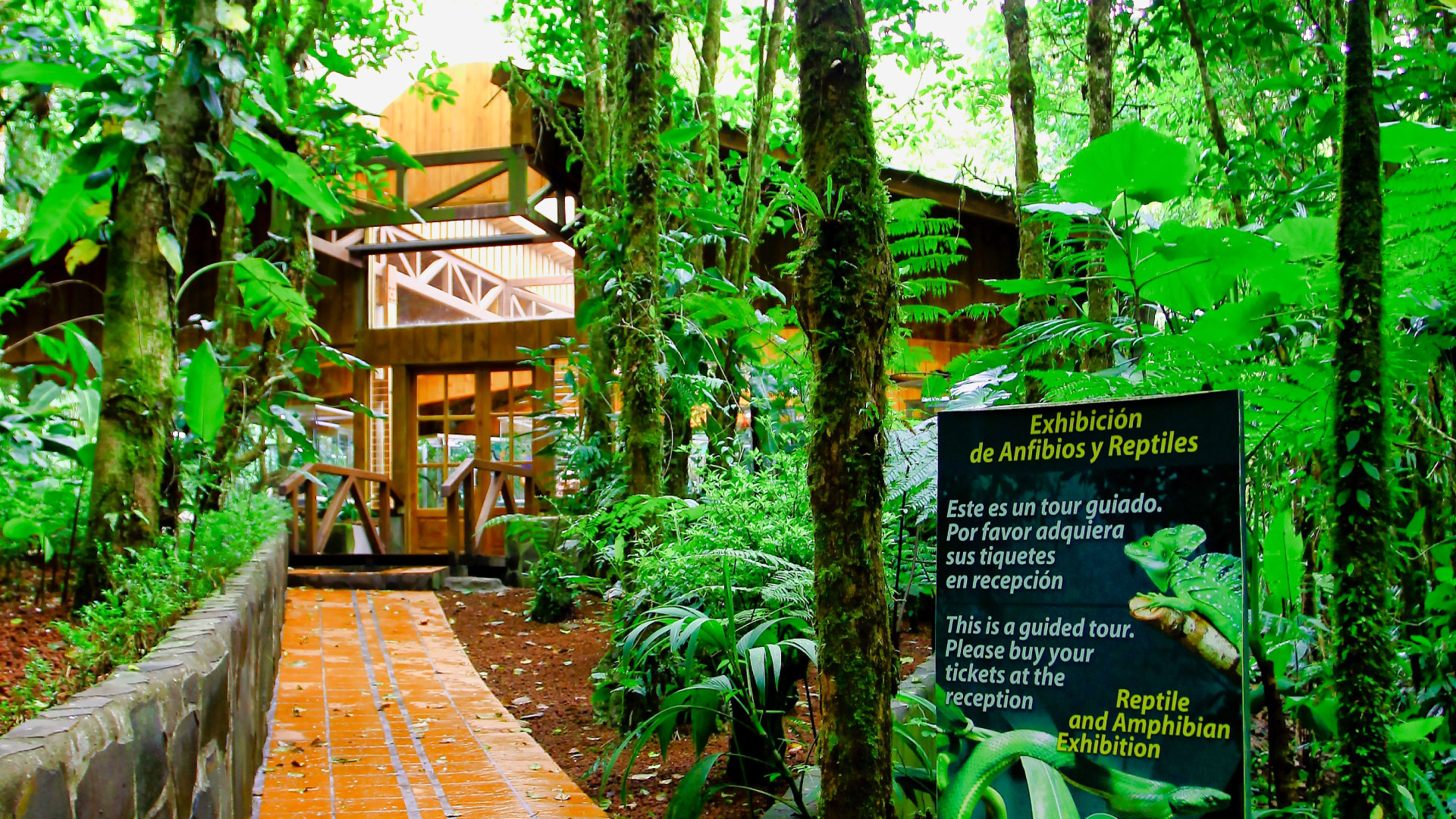 Selvatura Amphibian and Reptile Exhibit