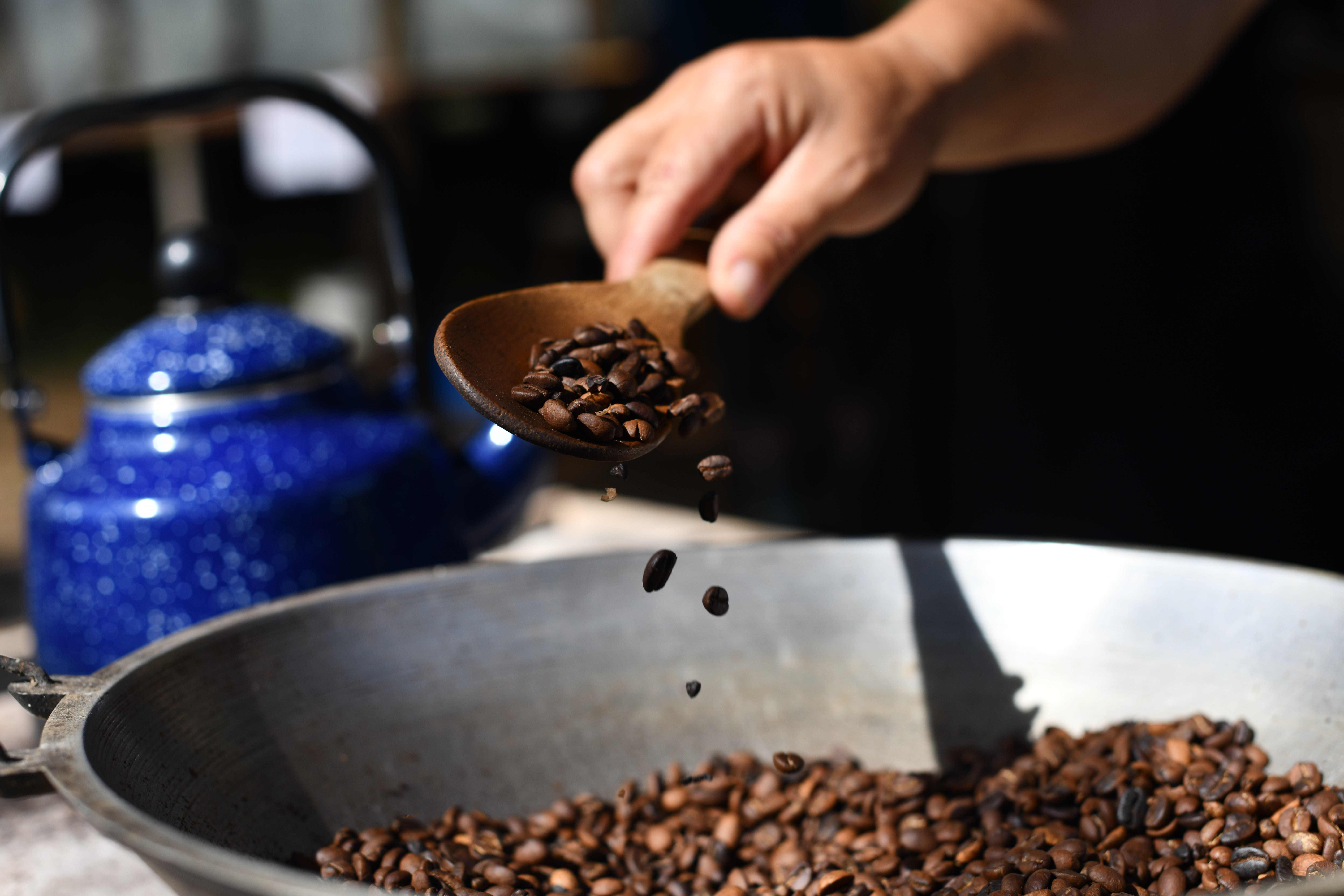 Raíces: Experiencia Regenerativa en Monteverde