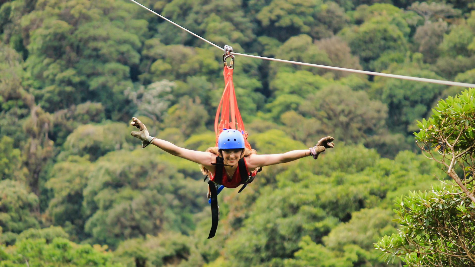 A person ziplining in Superman style above the lush cloud forest during a canopy tour in Monteverde, Costa Rica.
