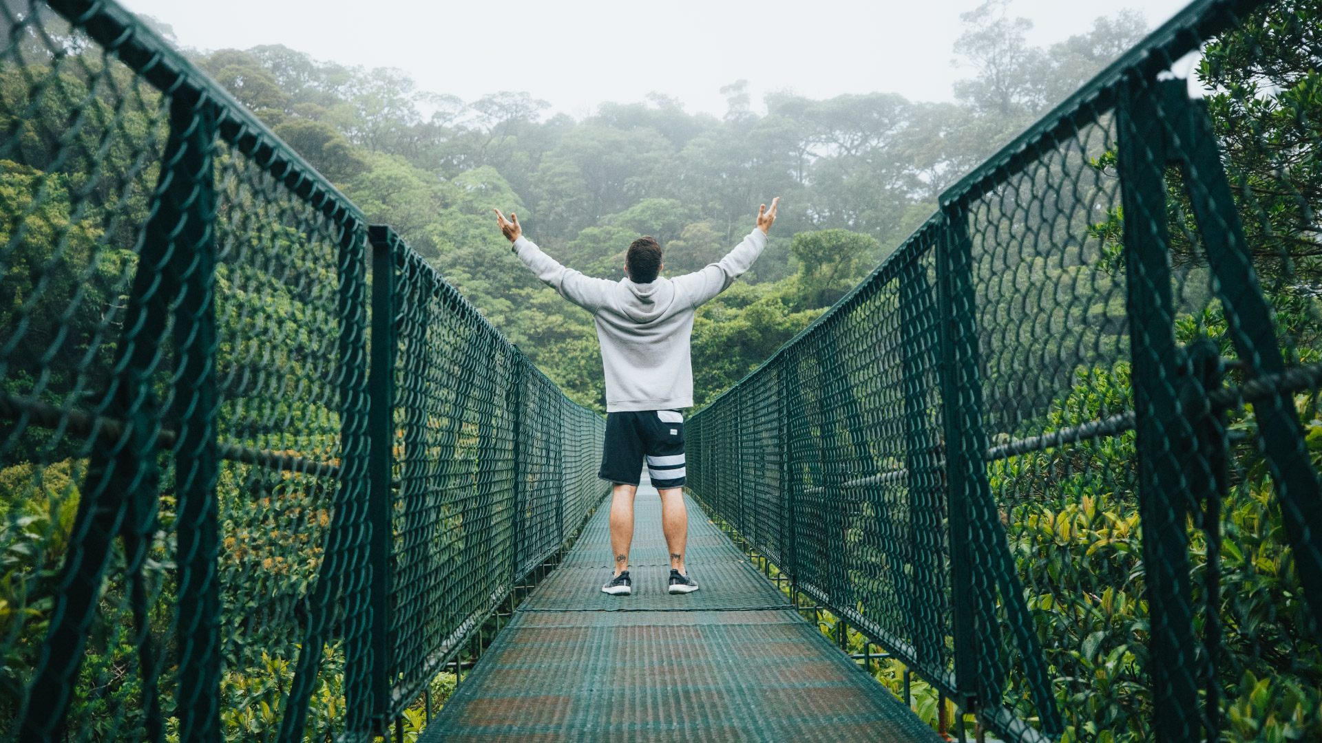 Natural History Walk on Selvatura Hanging Bridges