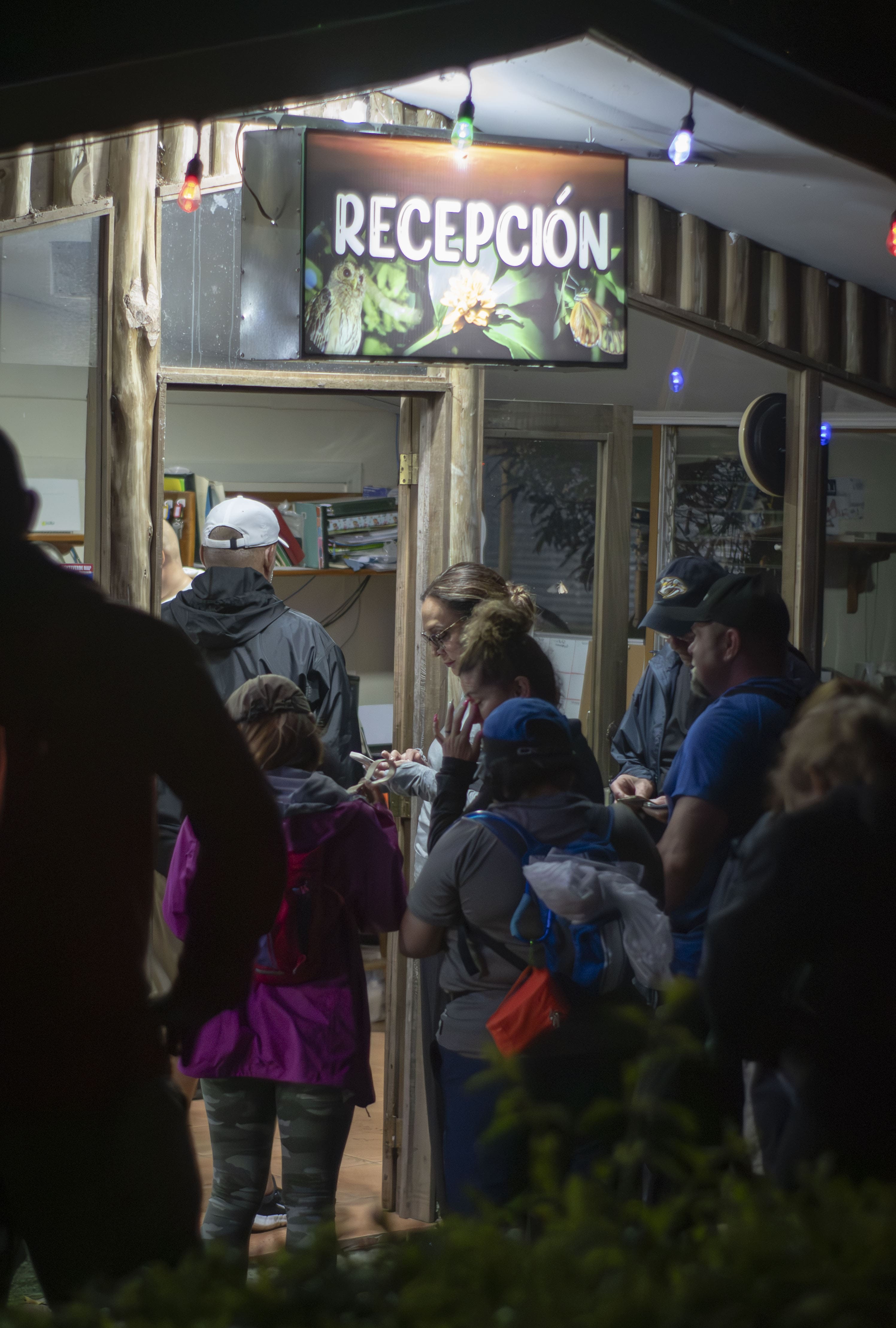 Night Walk in Monteverde