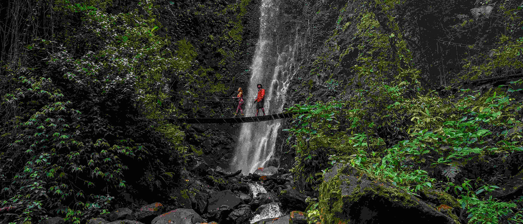 Two hikers crossing a hanging bridge in the tropical rainforest of El Tigre Waterfalls, Monteverde, Costa Rica.