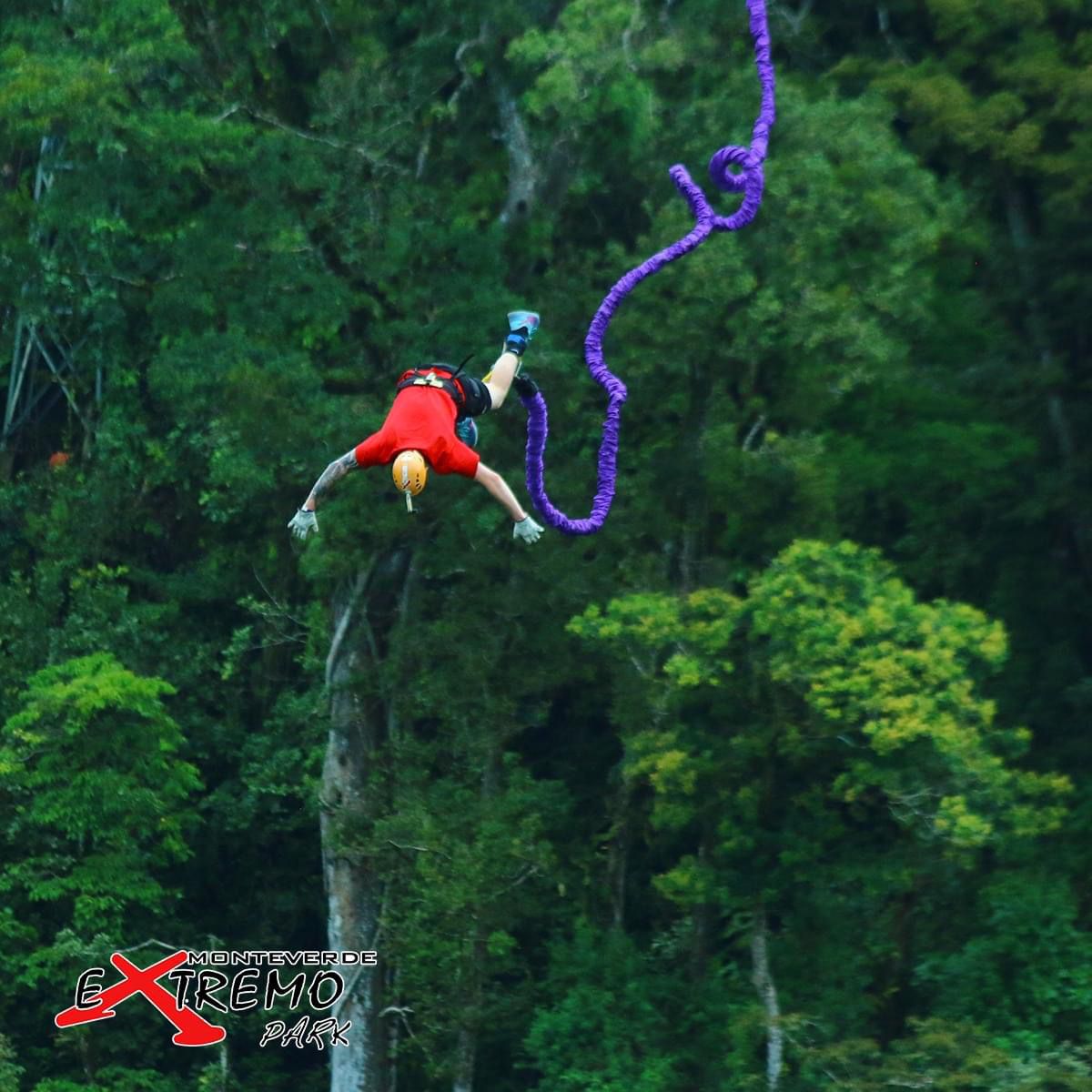 Bungee jumper mid-dive with a vibrant green forest backdrop at Monteverde Extremo Park, Costa Rica.